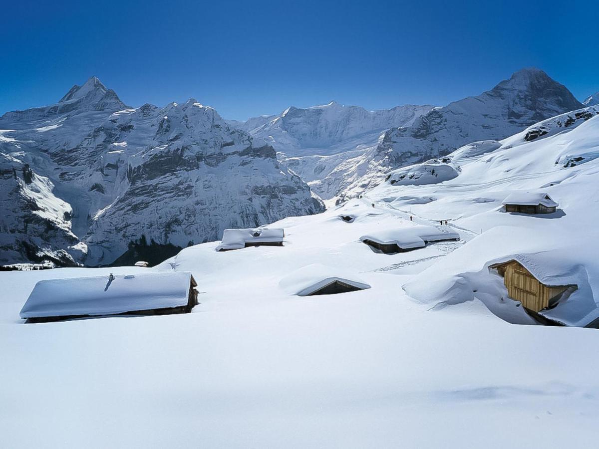 Apartment Chalet Albi By Interhome Grindelwald Exterior foto